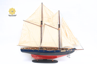 BLUENOSE II Model Ship 60cm - Handcrafted Wooden Sailing Ship Display