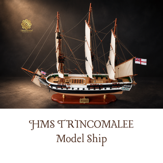 HMS TRINCOMALEE Model Ship 80cm - Handcrafted Wooden Historic Sailing Ship Display