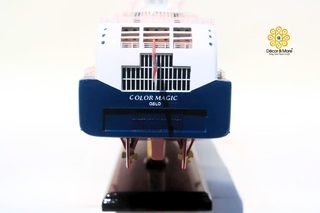 MS COLOR FANTASY Cruiseferry Model 70cm - Handcrafted Wooden Maritime Display